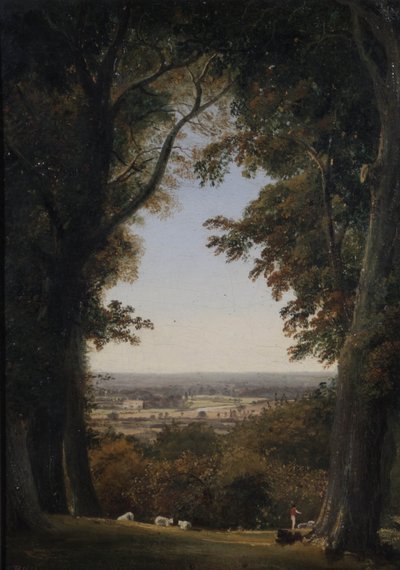 Vista distante di Twickenham, Middlesex da George Hilditch