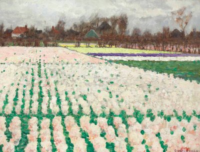 Campi di giacinti da George Hitchcock