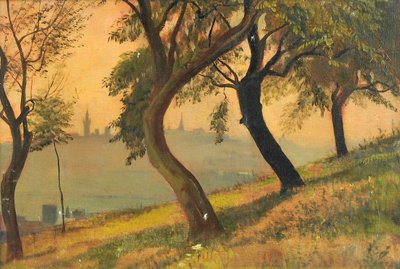 Friedberg in Assia dal Johannisberg Nauheim da George Howard