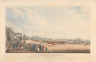 Vista del Campo di Corsa di Worcester e Tribuna Principale da George Hunt