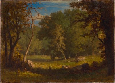 Terreno degli elfi da George Inness