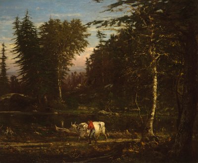 Nelle Adirondacks da George Inness