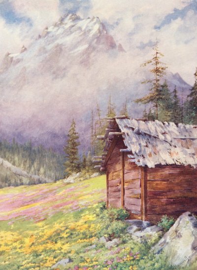 Caltha palustris e Primula farinosa nei campi superiori di Champex verso la fine di maggio da George Jackson Flemwell
