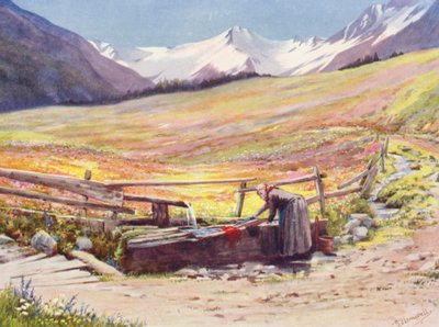 Campi di inizio giugno oltre Praz de Fort nella Val Ferret, con il Gruppo del Gran San Bernardo e del Grand Golliaz sullo sfondo da George Jackson Flemwell