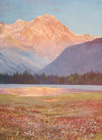 Sera tra i campi di bistorta rosa al Lac Champex; bagliore del tramonto sul Grand Combin, luglio da George Jackson Flemwell