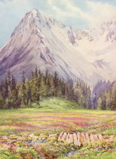 Gentiana verna e Primula farinosa nei campi inferiori di Champex verso la fine di maggio, con parte del massiccio di Saleinaz sullo sfondo (litografia a colori) da George Jackson Flemwell