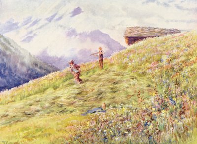 Fienagione a Champex a metà luglio da George Jackson Flemwell