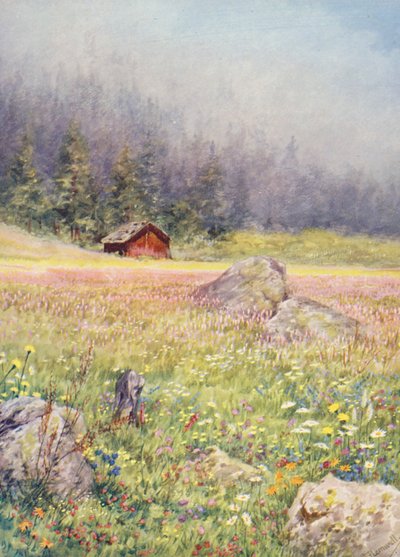 Nei campi di inizio luglio a Champex da George Jackson Flemwell