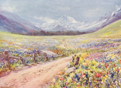 Prati di giugno di Salvia, Lychnis, ecc., nella Val Ferret, poco prima di arrivare al villaggio di Praz de Fort (litografia a colori) da George Jackson Flemwell