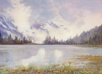 Lago Champex tra le nuvole a fine maggio; Caltha palustris e Primula farinosa sul bordo dell