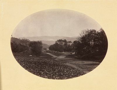 Una strada a Williamstown da George Kendall Warren