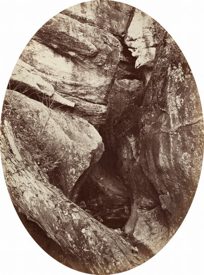 Cascata vicino al Williams College, c. 1870 (foto) da George Kendall Warren
