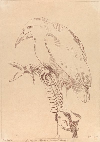 Senza titolo: uccello che tiene uno scheletro di pesce da George Knapton