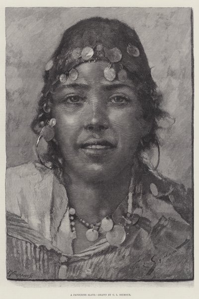 Uno schiavo preferito da George L. Seymour