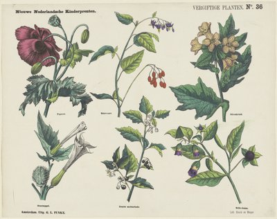 Piante velenose da George Lodewijk Funke