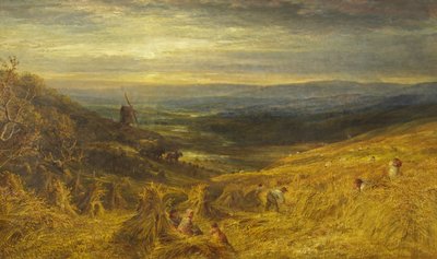 Un campo di grano nel Surrey, c.1877 da George Lucas