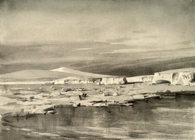Baia delle Balene, o Balloon Bight, c1908 da George Marston