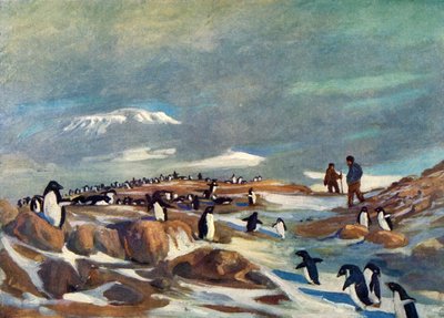 Ritorno dei pinguini, c1908, 1909 da George Marston