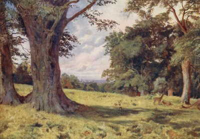 Una radura nel Windsor Great Park da George Moore Henton