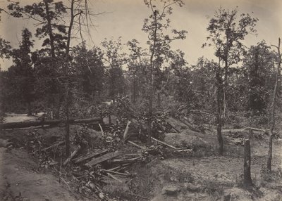 Campo di battaglia di Atlanta, Georgia, 22 luglio 1864 No. 1, 1860s da George N. Barnard