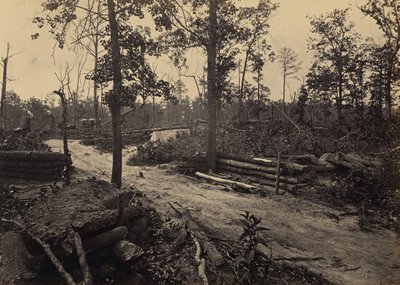Campo di battaglia della chiesa di New Hope, Georgia, n. 1 da George N. Barnard