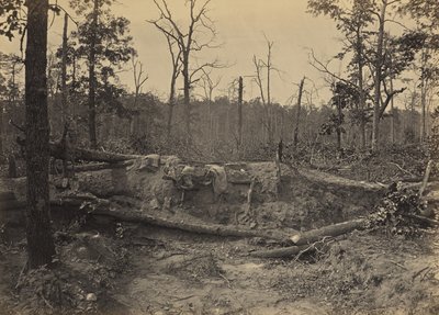 Campo di battaglia di New Hope Church, Georgia, n. 2 da George N. Barnard