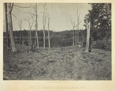 Campo di battaglia di Resacca, GA, n. 1, 1866 da George N. Barnard