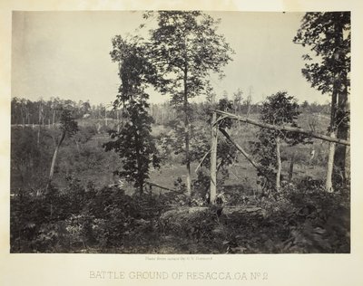 Campo di battaglia di Resacca, GA, No. 2 da George N. Barnard