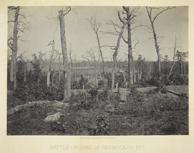 Terreno di battaglia di Resacca, GA, n. 3 da George N. Barnard
