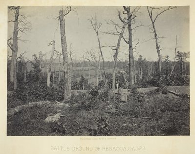 Campo di battaglia di Resacca, GA, No. 3, 1866 da George N. Barnard
