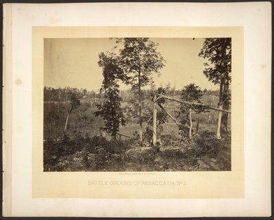 Terreno di battaglia di Resacca, Ga. No. 2 da George N. Barnard