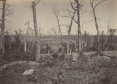 Campo di battaglia di Resacca, Georgia No. 3, 1860 da George N. Barnard