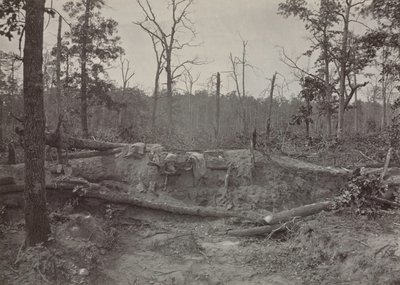 Campo di battaglia di New Hope Church, Georgia, n. 2, 1865-1866 da George N. Barnard