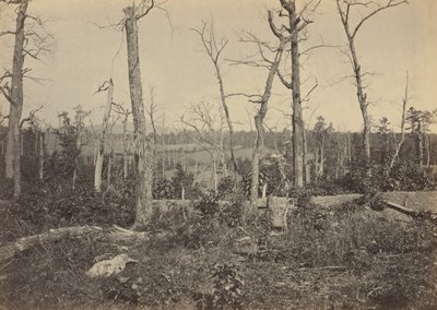 Campo di battaglia di Resaca, Georgia, n. 3.1864 (foto) da George N. Barnard