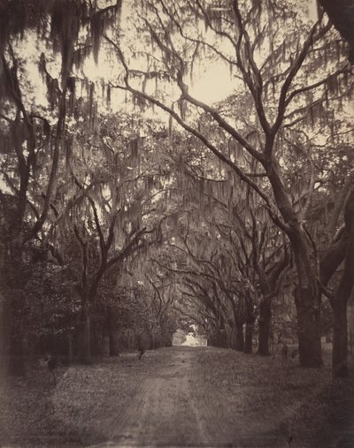 Cimitero di Bonaventure, quattro miglia da Savannah, 1866 da George N. Barnard