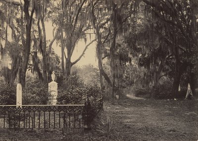 Buen-Ventura, Savannah, Georgia da George N. Barnard