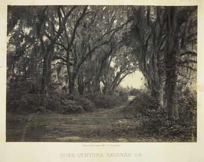Buen-Ventura Savannah, Ga. da George N. Barnard