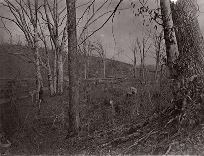 Bull Run, Virginia, 1861-62 da George N. Barnard