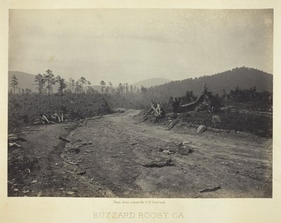 Buzzard Roost, GA da George N. Barnard