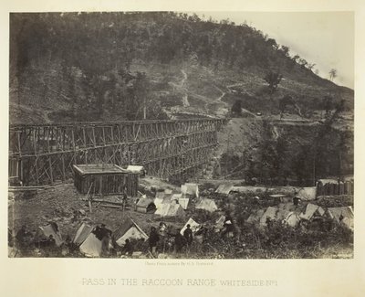 Passo nella catena del Raccoon, Whiteside No. 1, 1864 da George N. Barnard