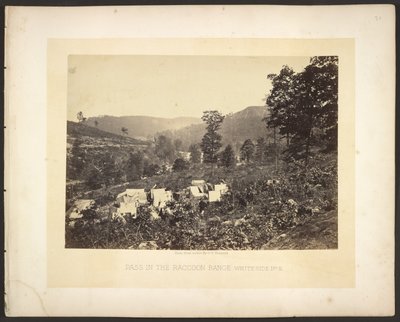 Passo nella catena dei procioni, Whiteside n. 2 da George N. Barnard