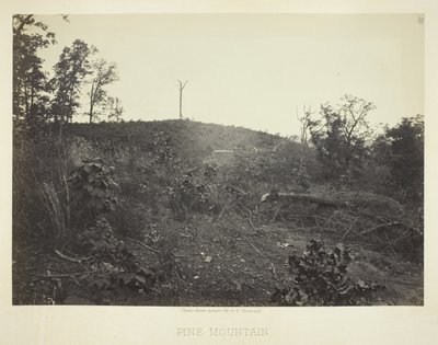 Montagna dei pini da George N. Barnard