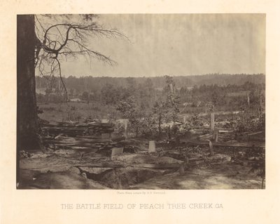 Il campo di battaglia di Peach Tree Creek, Georgia da George N. Barnard