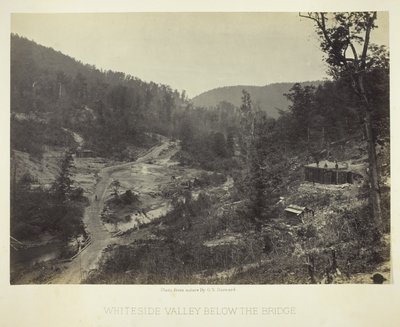 La valle di Whiteside sotto il ponte da George N. Barnard