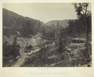 Valle di Whiteside sotto il Ponte da George N. Barnard
