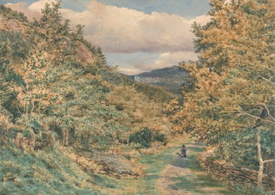 Una strada vicino a Bettws-y-Coed da George Price Boyce