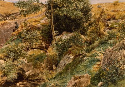 Autunno sulle colline gallesi di George Price Boyce, RWS da George Price Boyce