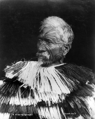 Te Hinote Kawau, c.1860-71 da George Pulman