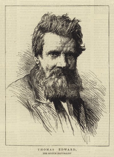 Thomas Edward da George Reid