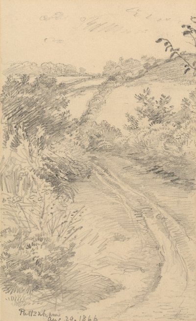 Un sentiero cespuglioso con un campo oltre da George Richmond